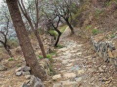 -阳台山自然风景区