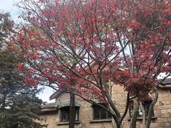 -竹光餐厅(莫干山天籁之梦日出酒店)