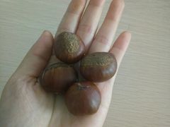 -金栗王(清扬路店)