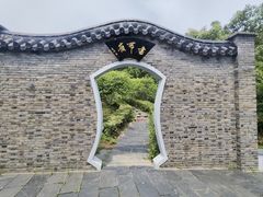 -南汇桃花村