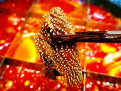 毛肚-重庆渝达老火锅(春熙路店)
