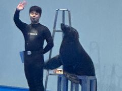 -福州罗源湾海洋世界旅游区