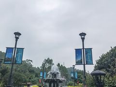 -美的鹭湖森林度假区