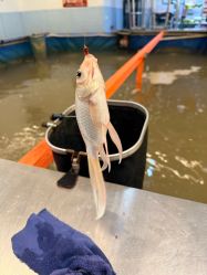 -巡鱼道·室内垂钓·渔具店