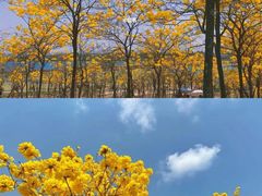 -露天矿生态公园