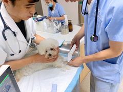 -谐和贝康宠物医院24小时·宠保定点(急重症转诊中心)