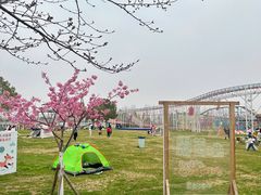 -金卉庄园