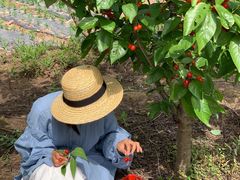 -樱桃山旅游景区