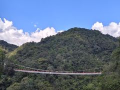 -九龙江国家森林公园