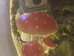 -芸南道·过桥米线(昆明老街旗舰店)