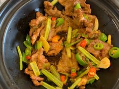 小炒黄牛肉-双井轩(双井店)