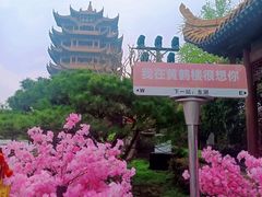 -黄鹤楼公园(黄鹤楼)