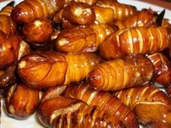 -双福饺子营餐厅(财富广场店)