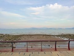 -深圳湾公园(南山区)