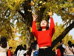 -千年银杏谷文化旅游区