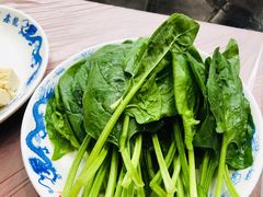 菠菜-鑫龙火锅(北园店)