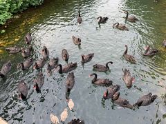 -长白岛森林公园