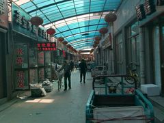 -中环花鸟鱼虫市场