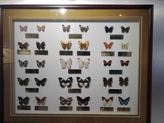 -上海昆虫博物馆