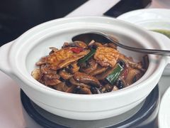 -柴门·头啖汤(天安千树店)