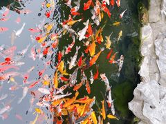 -西林禅寺
