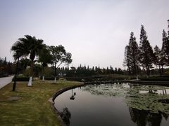 -河泥荡文化公园