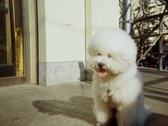 -柯达真美(老重庆中路店)