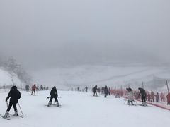 -广元曾家山国际滑雪场