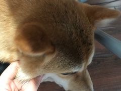 -About Bistro關於·泰式家庭料理