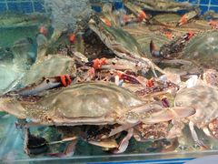 -鲜鲜·鲅鱼圈海鲜(于洪店)