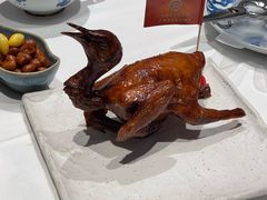 -侨美食家·40年地道粤菜(珠江新城店)