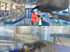 -上海海洋大学鱼文化博物馆(军工路校区)