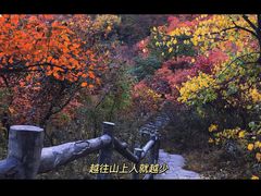 -周口店坡峰岭风景区
