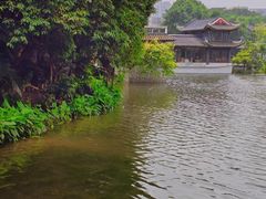 -荔湾湖公园
