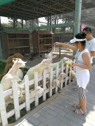 -上美四季动物农场