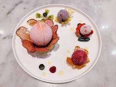 著春花堂食冰淇淋菜式-哈根达斯(钟楼新店)