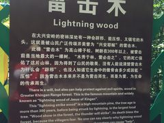-莫尔道嘎国家森林公园