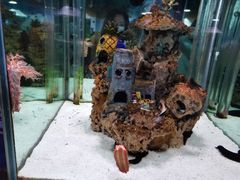 -太平洋海底世界餐厅