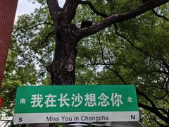 -杜甫江阁