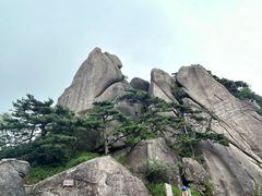 -黄山风景区
