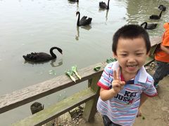 -溱湖国家湿地公园