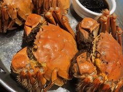 大闸蟹-必点海鲜·鲅鱼水饺(鞍山西道店)