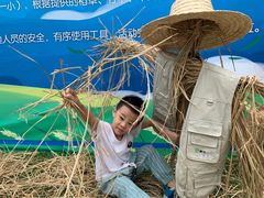 -中国福利会少年宫