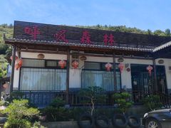 -呼吸森林·生态农庄农家乐私房菜