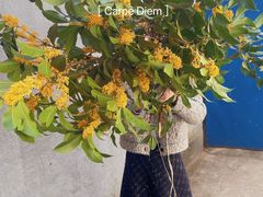 -花邻FloweringLife花艺气球派对(武康大楼店)