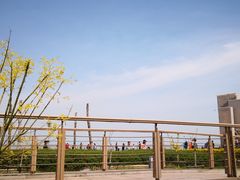 -东疆建设开发纪念公园