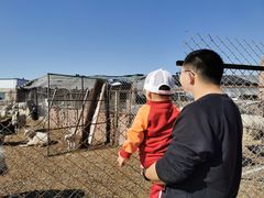 -包头市畅兴现代农业园