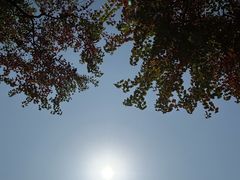 -东湖落雁景区