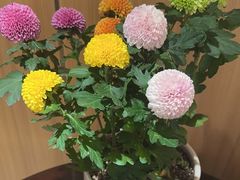 -和记小菜(名品店)