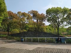 -新江湾城公园